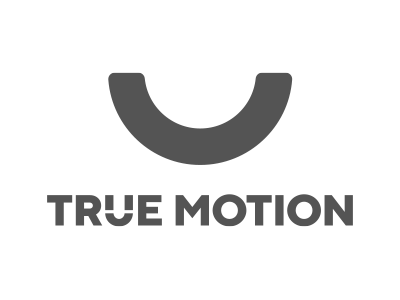 true_motion